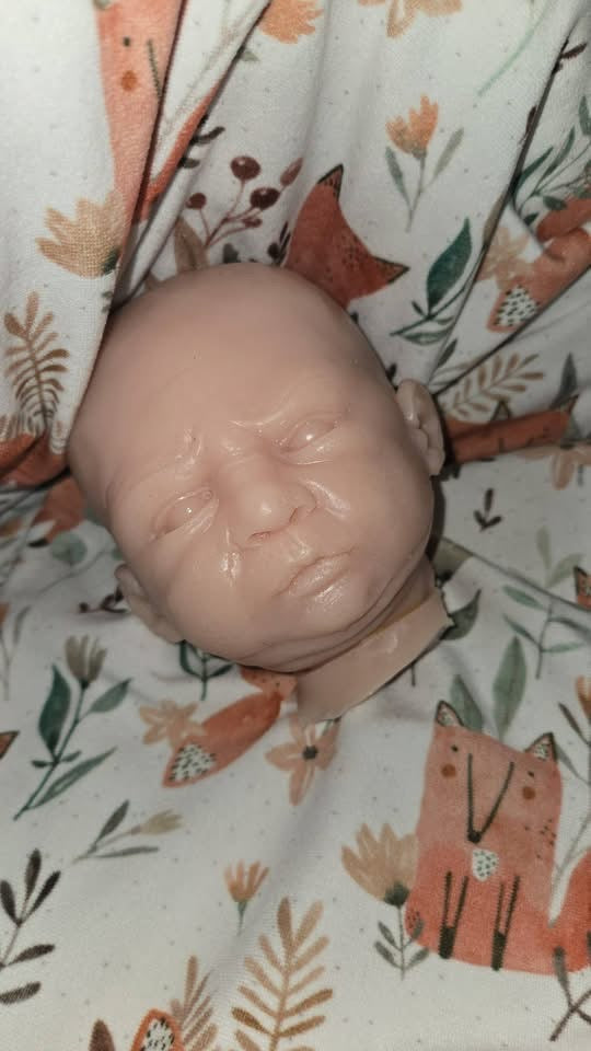 Silicone art doll head or full body for 16” cuddle body Nelly— Donna kohn
