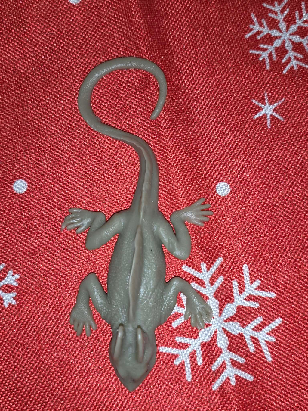 Dragon Hatchling