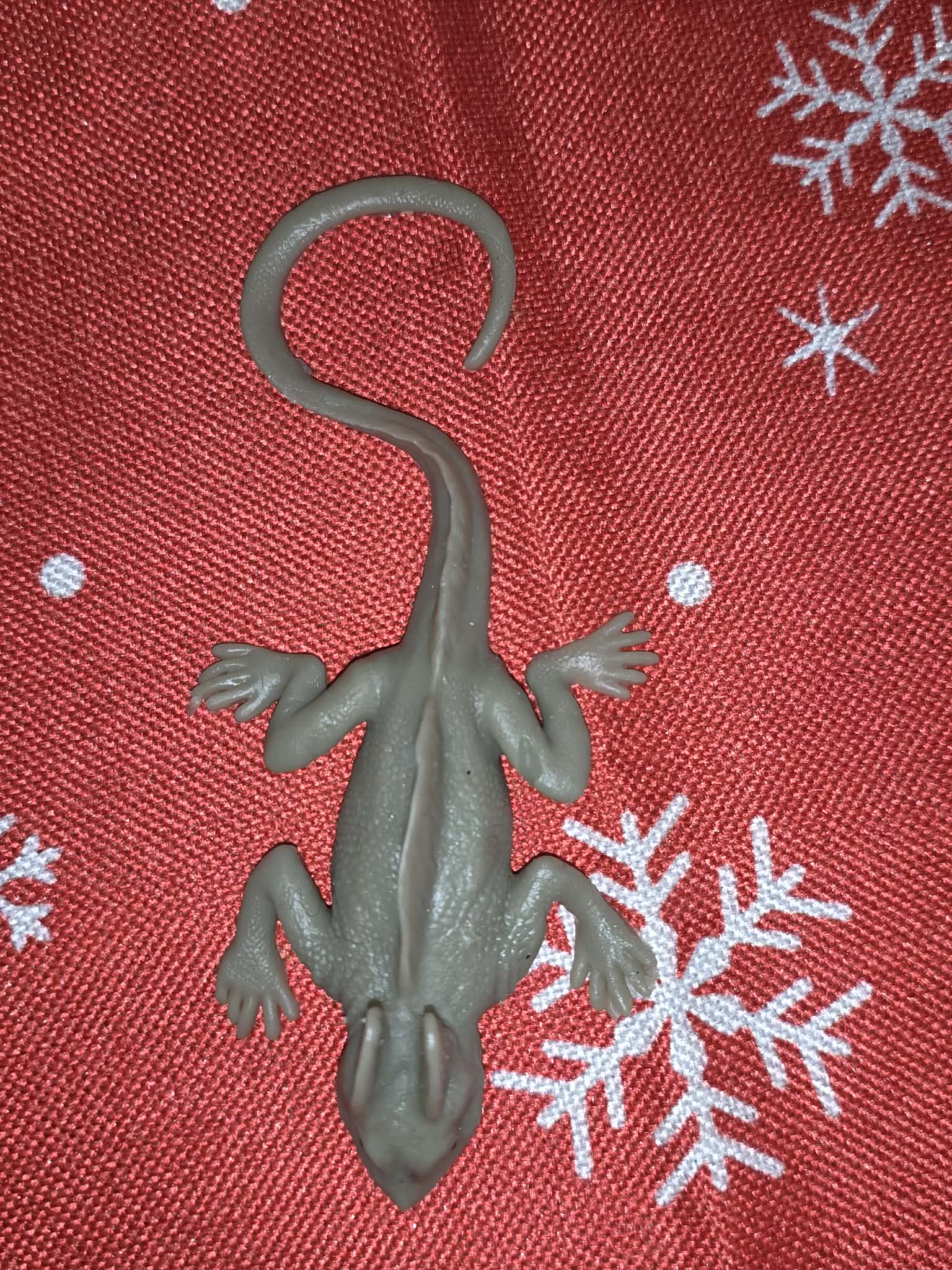 Dragon Hatchling