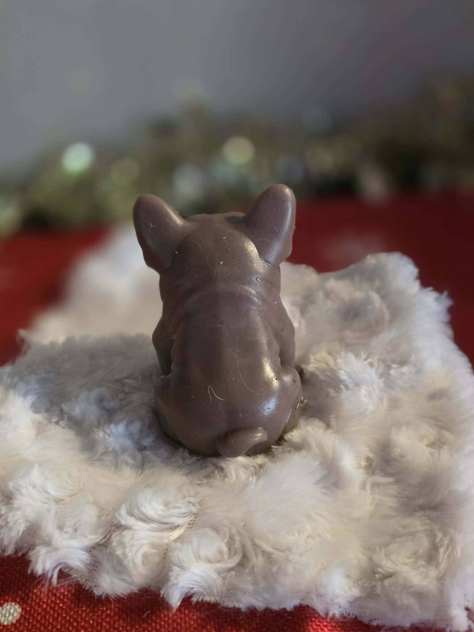 Mini Silicone frenchie with 3 Puppies
