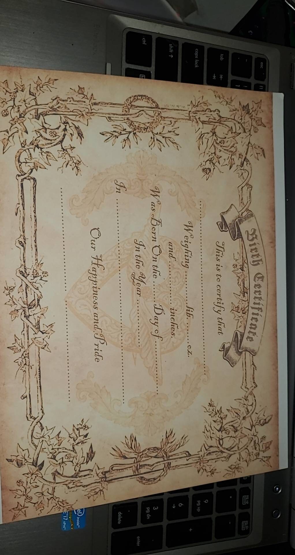 Newborn baby birth certificate perfect for reborn or silicone baby adoption