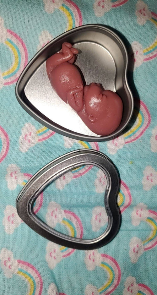 12 week gestation fetus baby memorial baby in tin heart keepsake