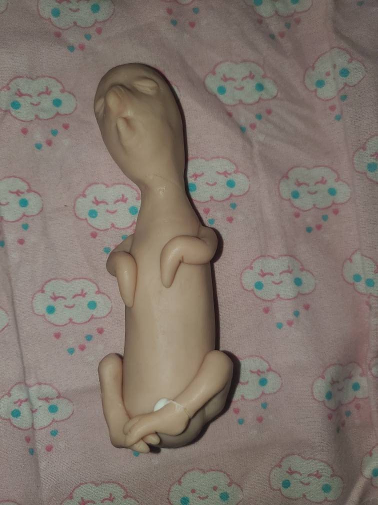 Full body silicone 7" birdy baby blank