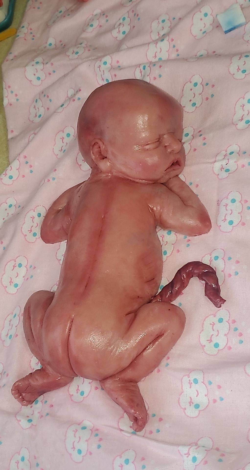 13" silicone baby girl fully painted with umbilical cord maribelle