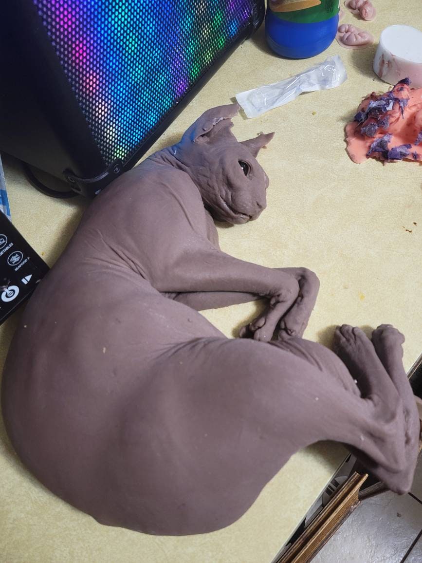 Silicone sphynx cat size of real adult cat