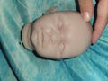 silicone art doll HEAD limbs or full body