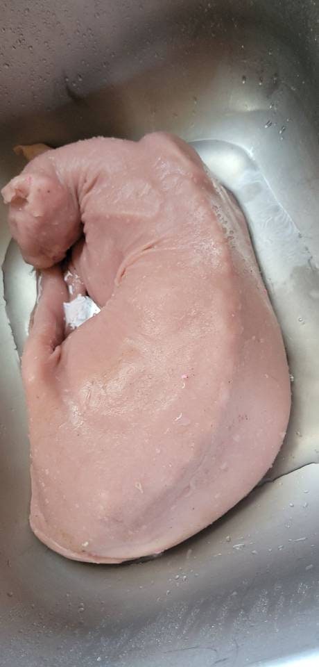 Silicone Sphynx cat full real size