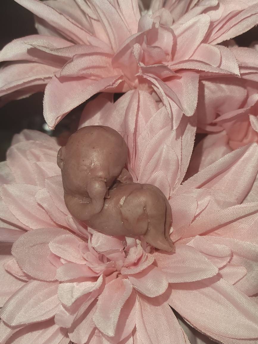 13 week gestational fetus silicone baby