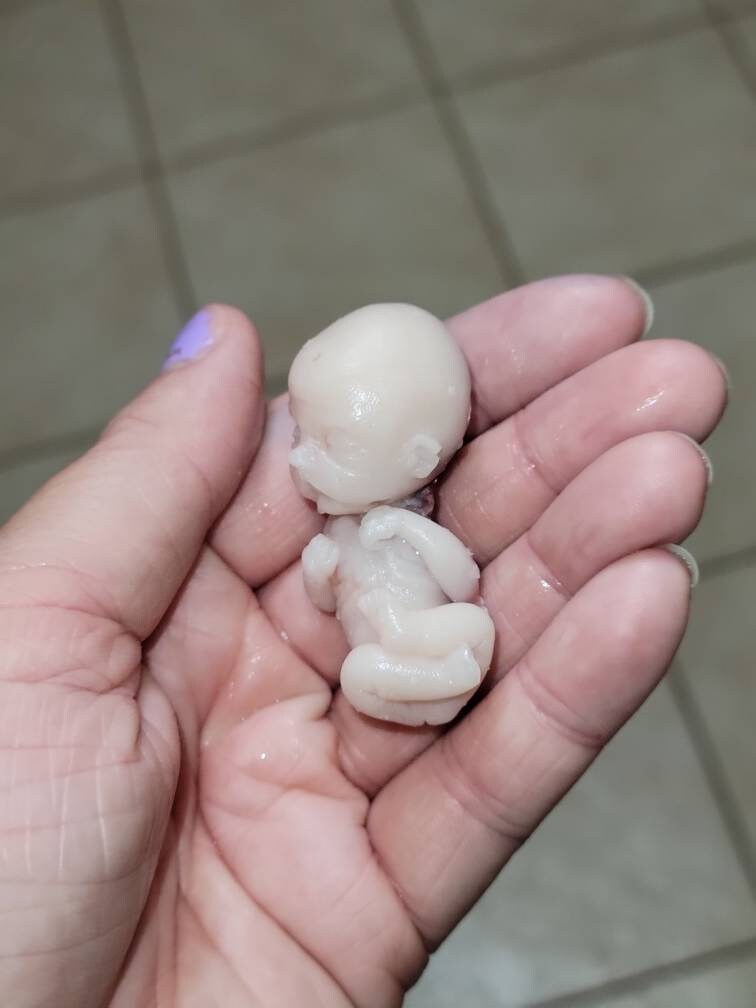 12 week gestational fetus silicone memorial baby keepsake