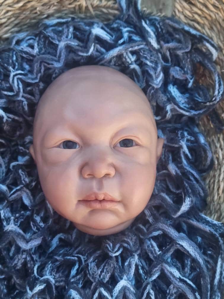 silicone art doll HEAD limbs or full body