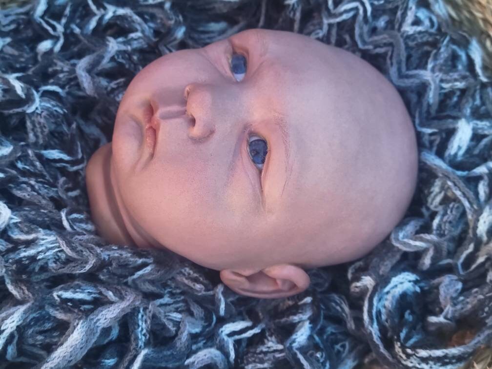 silicone art doll HEAD limbs or full body