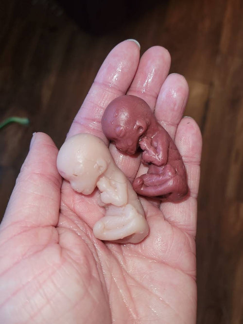 12 week gestational fetus silicone baby cute