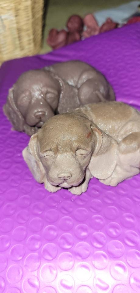silicone mini puppy pup dog custom cutie
