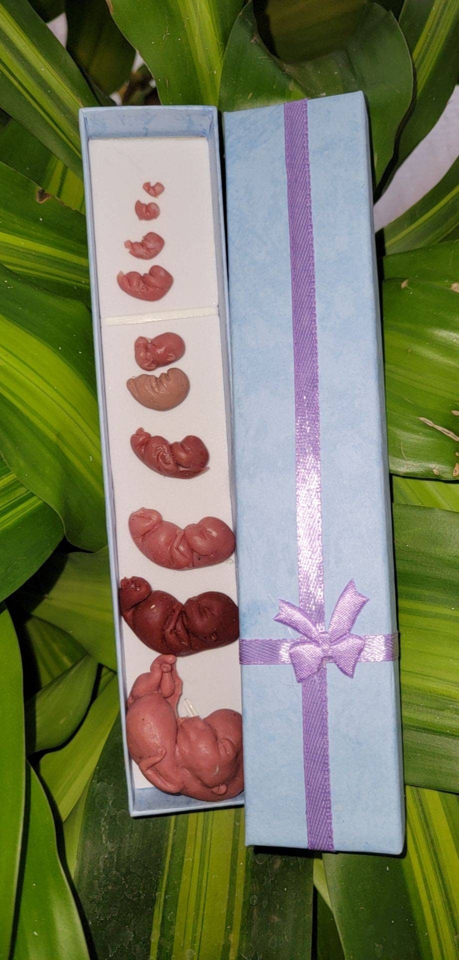 Silicone baby fetus LOT pro life developmental