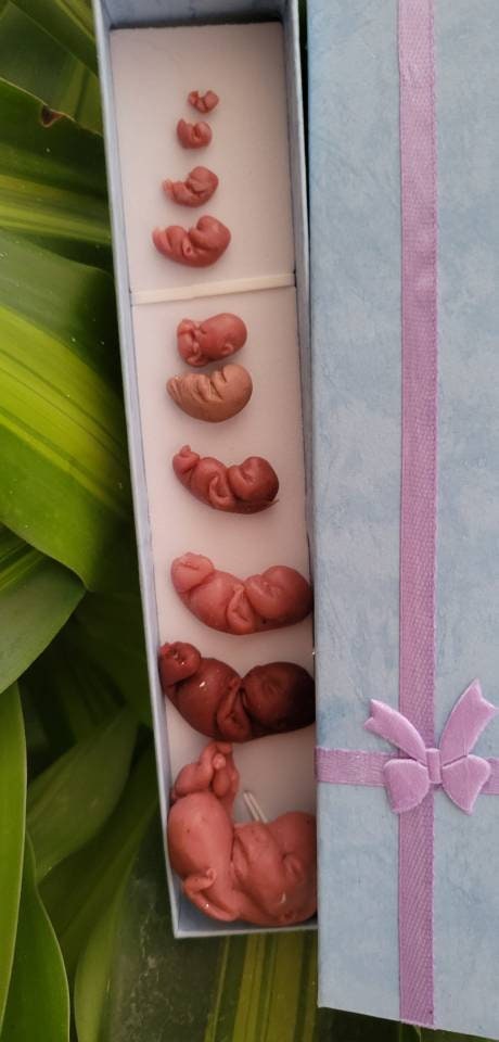 Silicone baby fetus LOT pro life developmental
