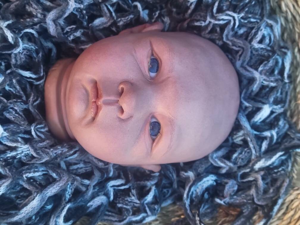 silicone art doll HEAD limbs or full body