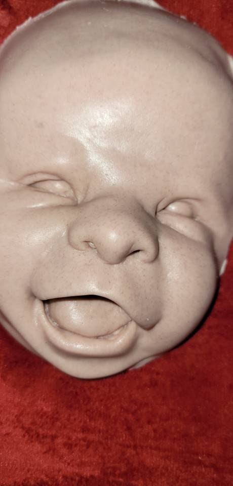 silicone art doll HEAD limbs or full body