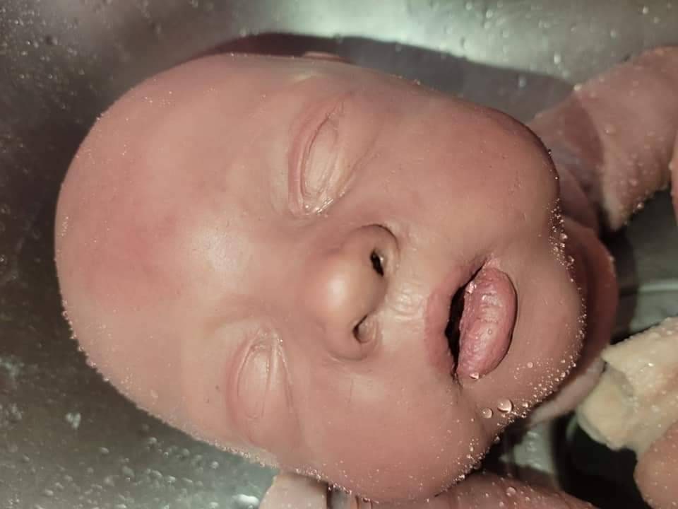 silicone art doll HEAD limbs or full body