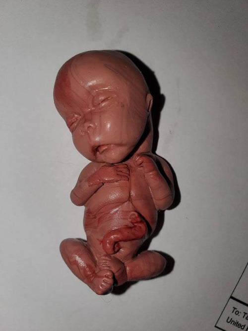 14 week Gestational silicone memorial fetus baby painted PAINTED
