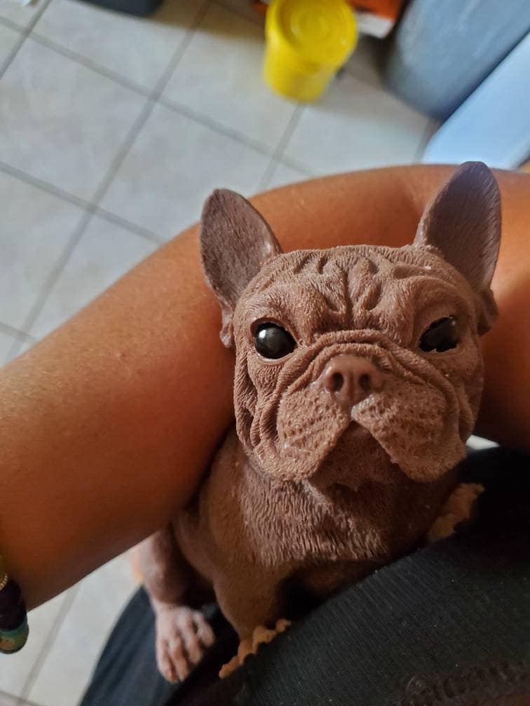 10" Full Body Silicone frenchie puppy dog open eyes cutie you choose color