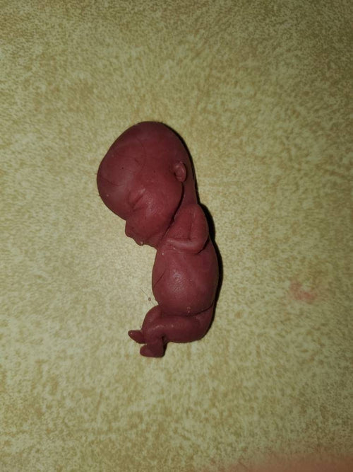 12 week gestation fetus memorial baby silicone baby keepsake