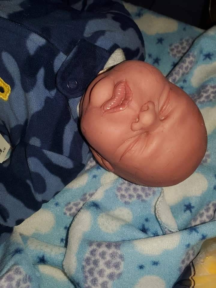silicone art doll HEAD limbs or full body