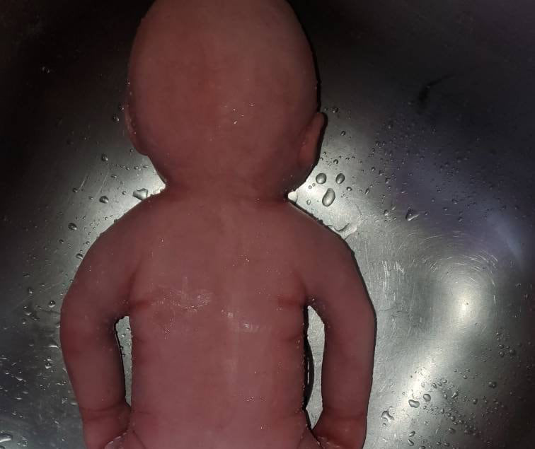 Full body silicone 18" art doll Brody