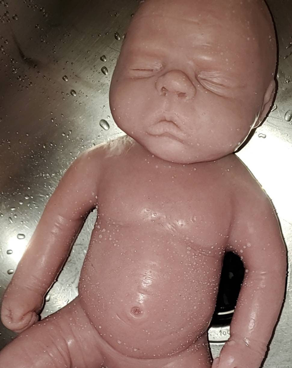 Full body silicone 18" art doll Brody