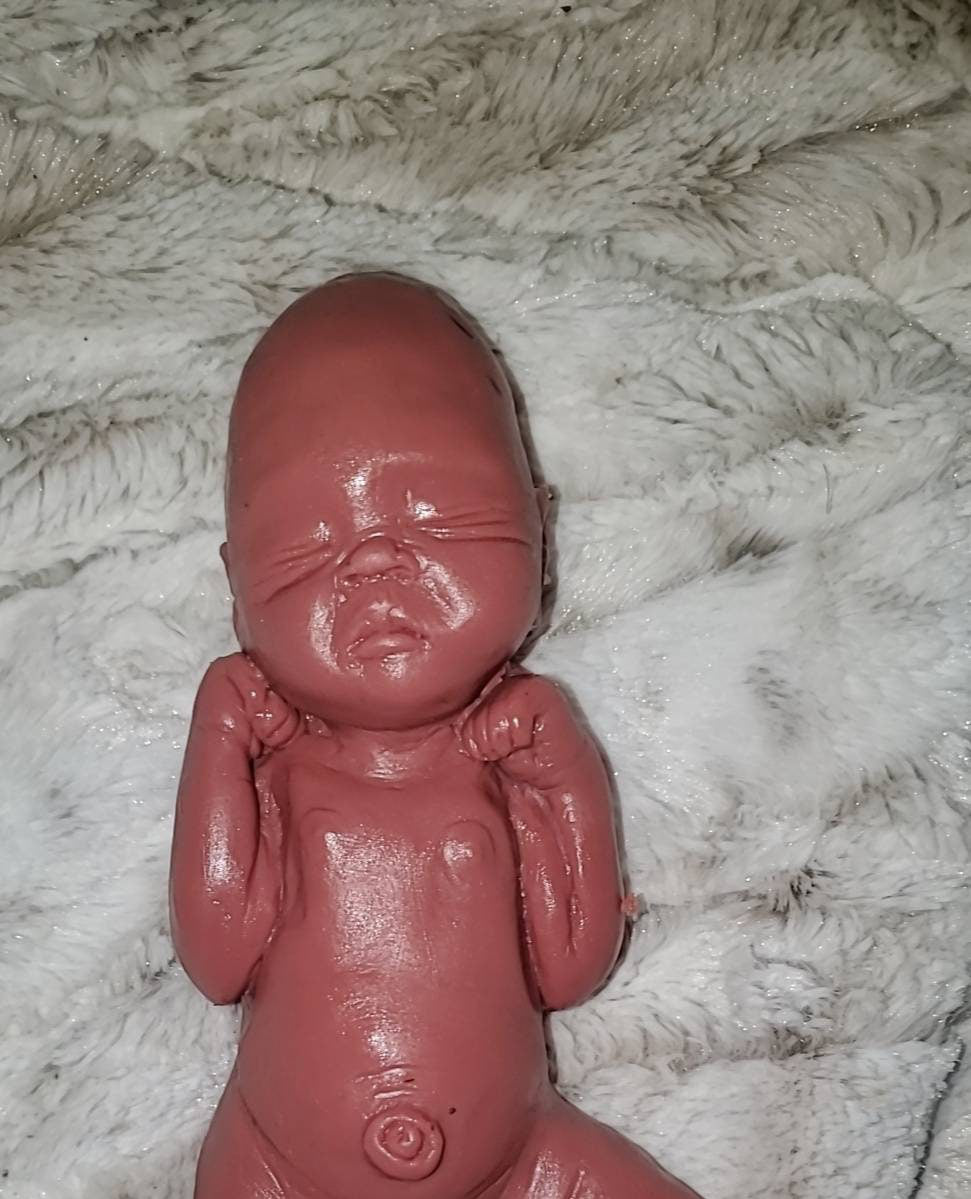 9" Full Body silicone art doll Nevea 21 week gestation memorial art doll born too soon