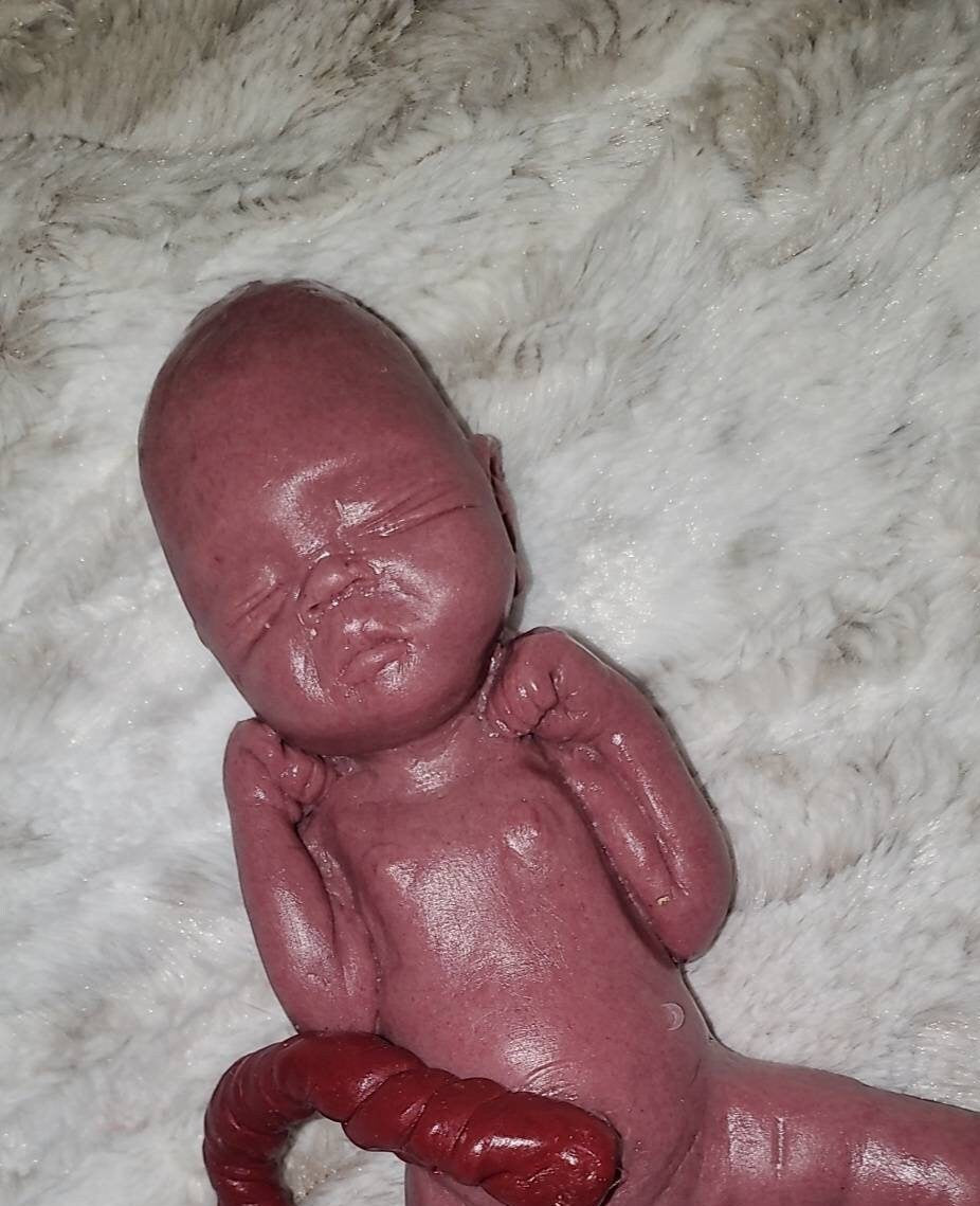 9" Full Body silicone art doll Nevea 21 week gestation memorial art doll born too soon