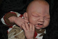 silicone art doll HEAD limbs or full body