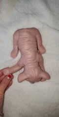 Full body silicone spyhnx cat kitten