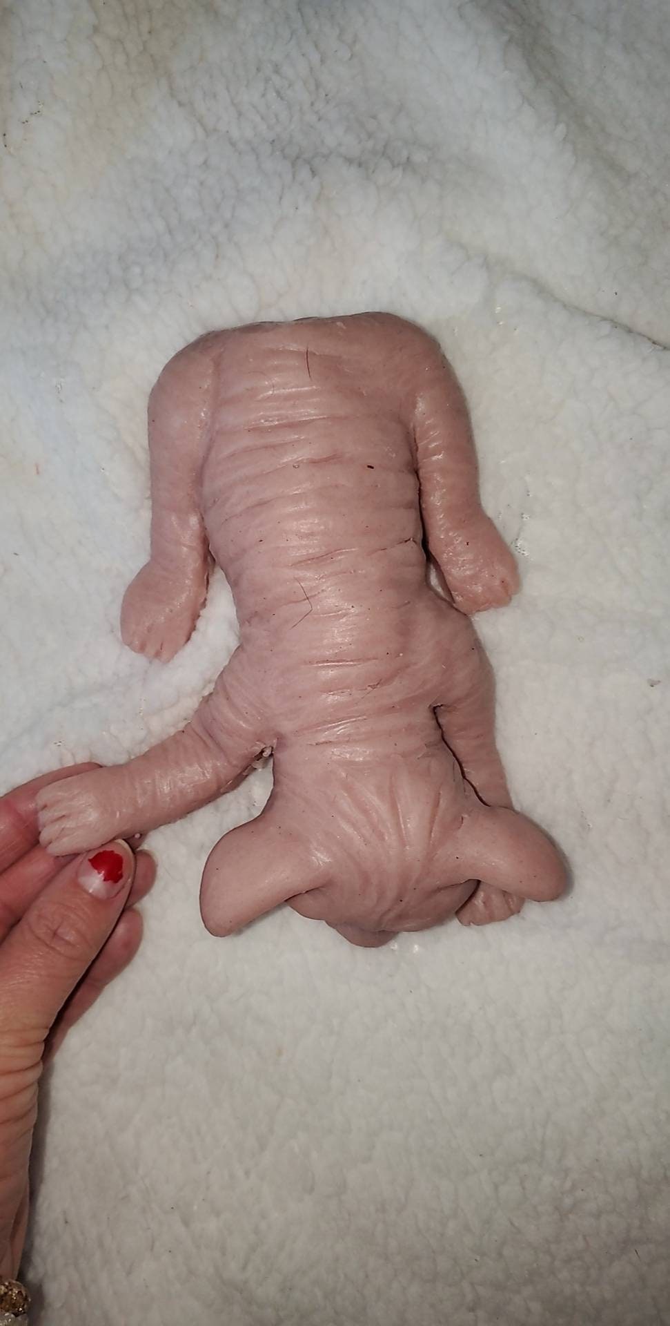 Full body silicone spyhnx cat kitten