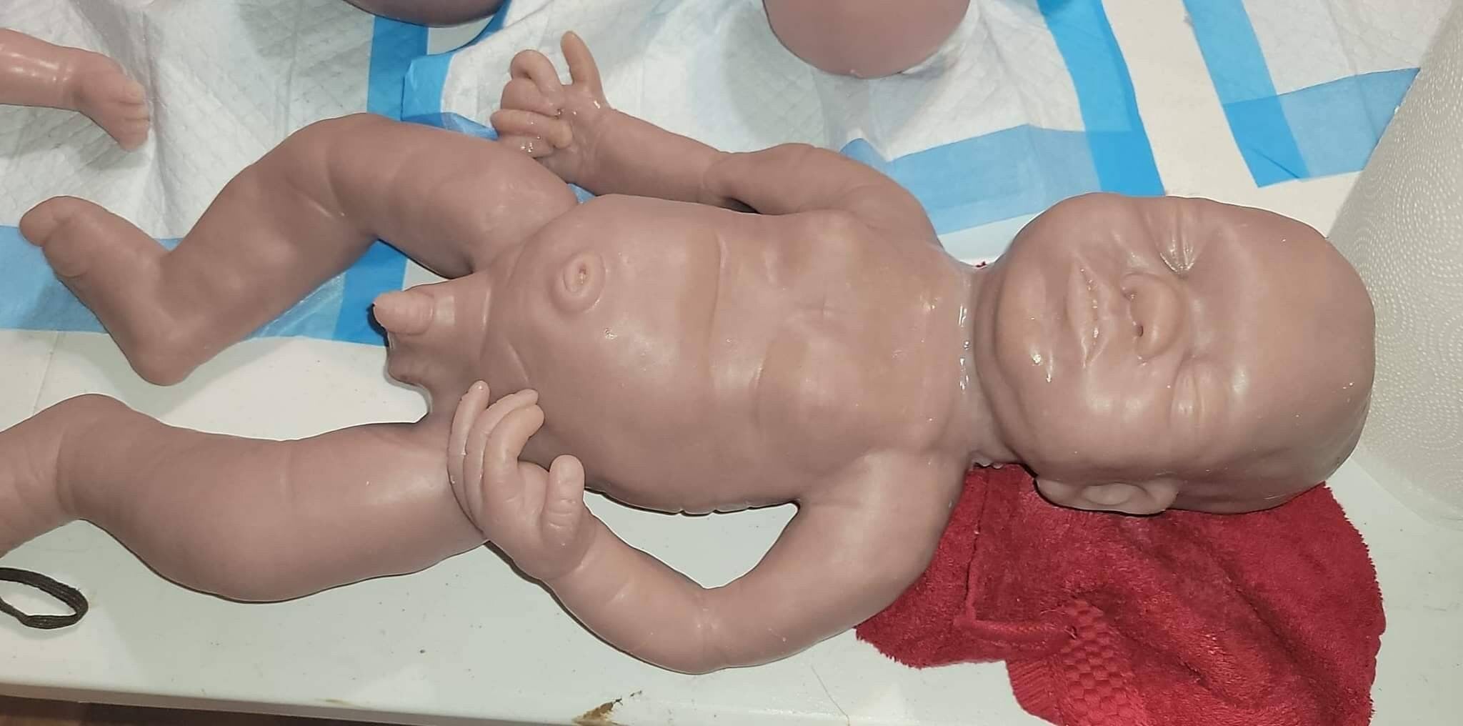 Full body silicone baby boy 6 month size 13lbs