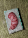 9 week gestational fetus silicone baby red/mixed color