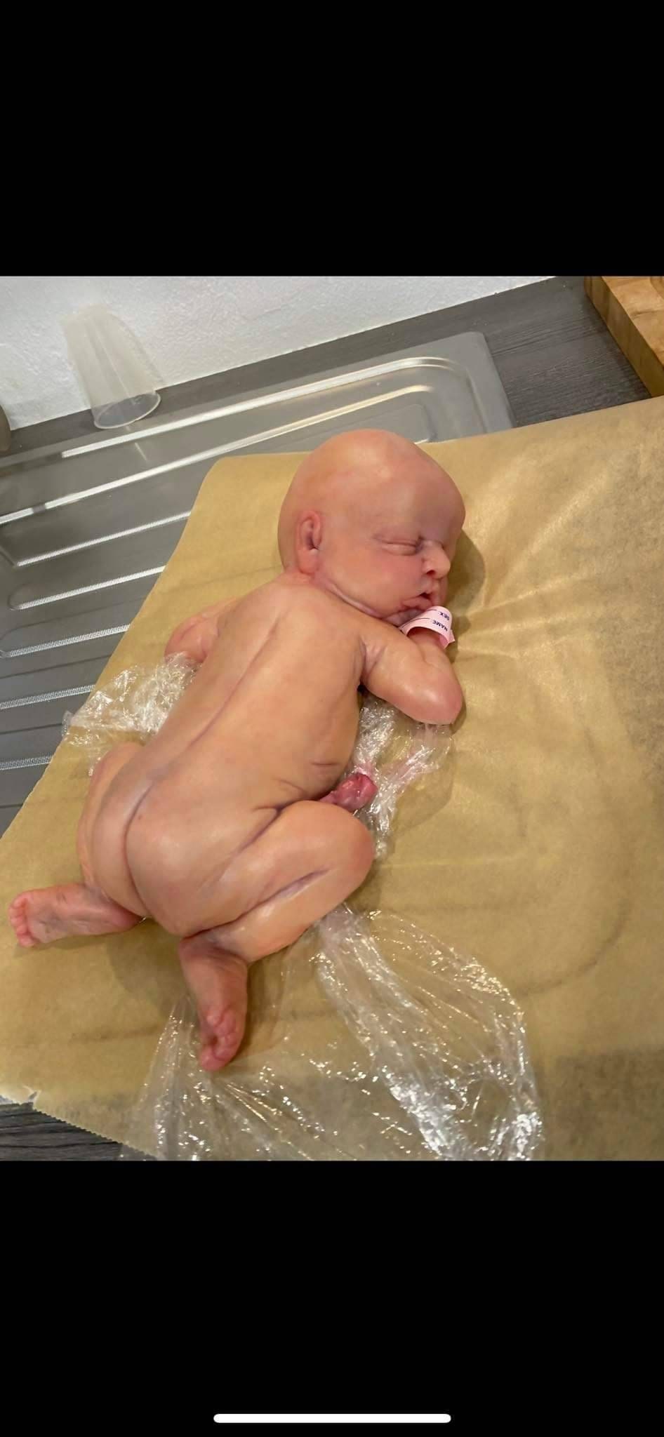 Bundle lot of 10 (ten) babies 13" silicone babies girl blank kit unpainted with umbilical cord maribelle