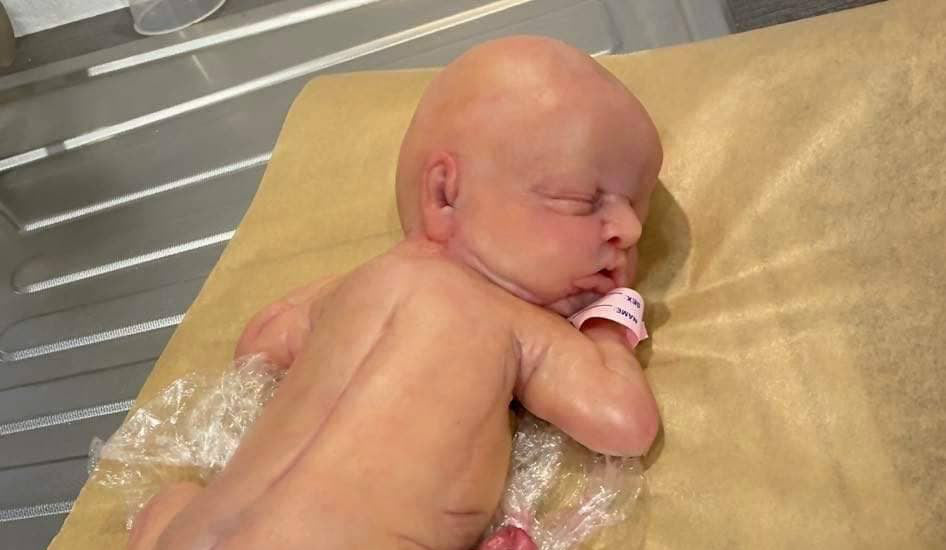 Bundle lot of 10 (ten) art dolls 13" silicone art dolls girl blank kit unpainted with umbilical cord maribelle