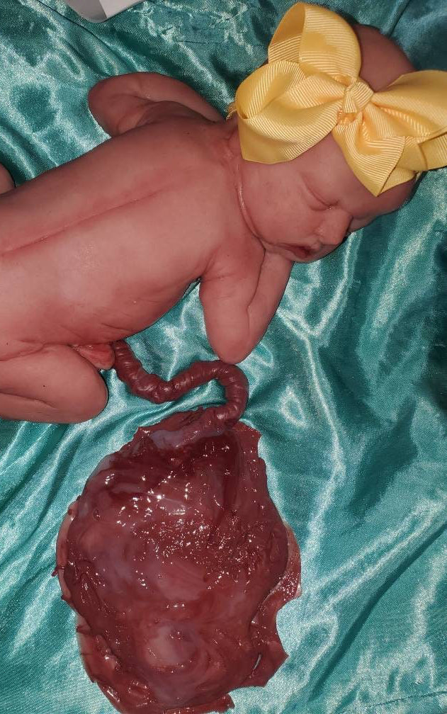 13" silicone art doll girl fully painted with umbilical cord maribelle