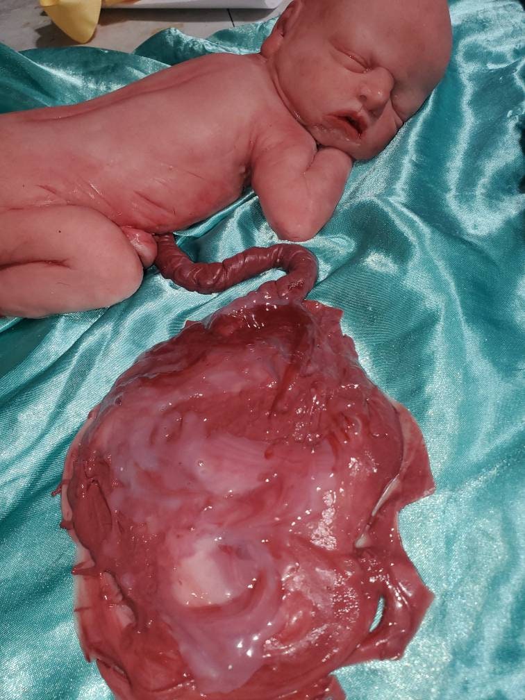 13" silicone art doll girl fully painted with umbilical cord maribelle