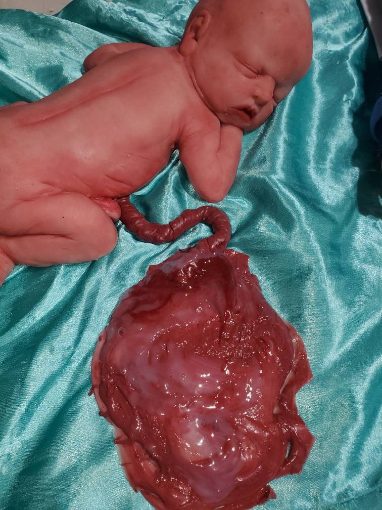 13" silicone art doll girl fully painted with umbilical cord maribelle