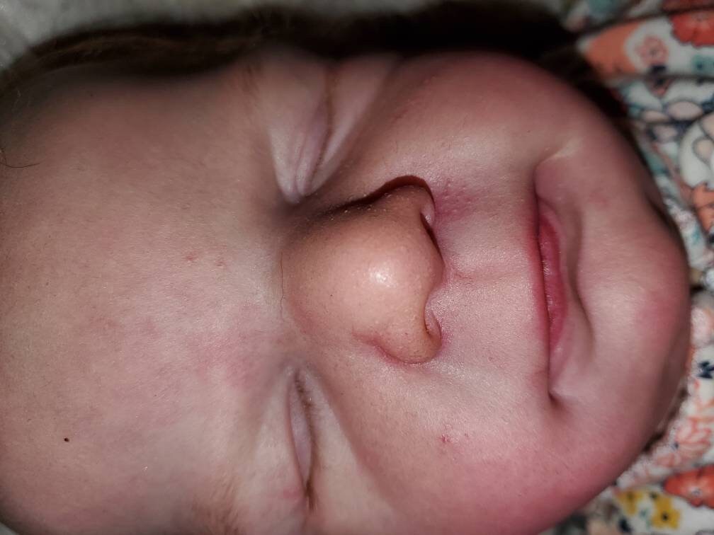 Ellis reborn baby doll ready to ship 21" newborn gorgeous baby!