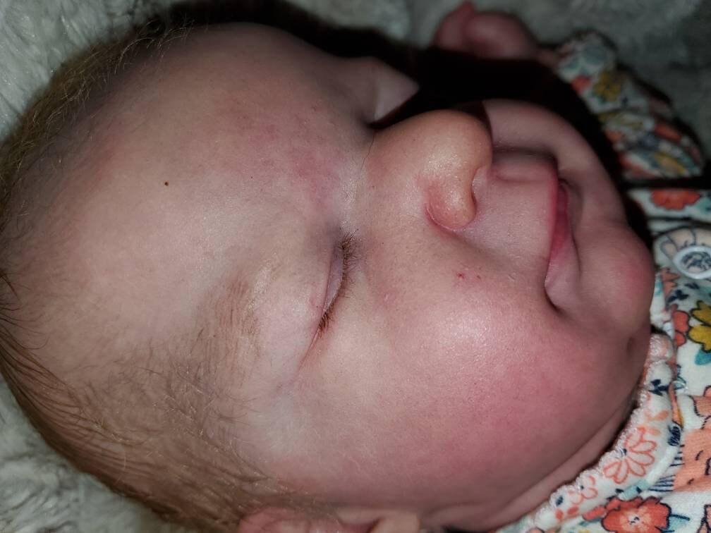 Ellis reborn baby doll ready to ship 21" newborn gorgeous baby!