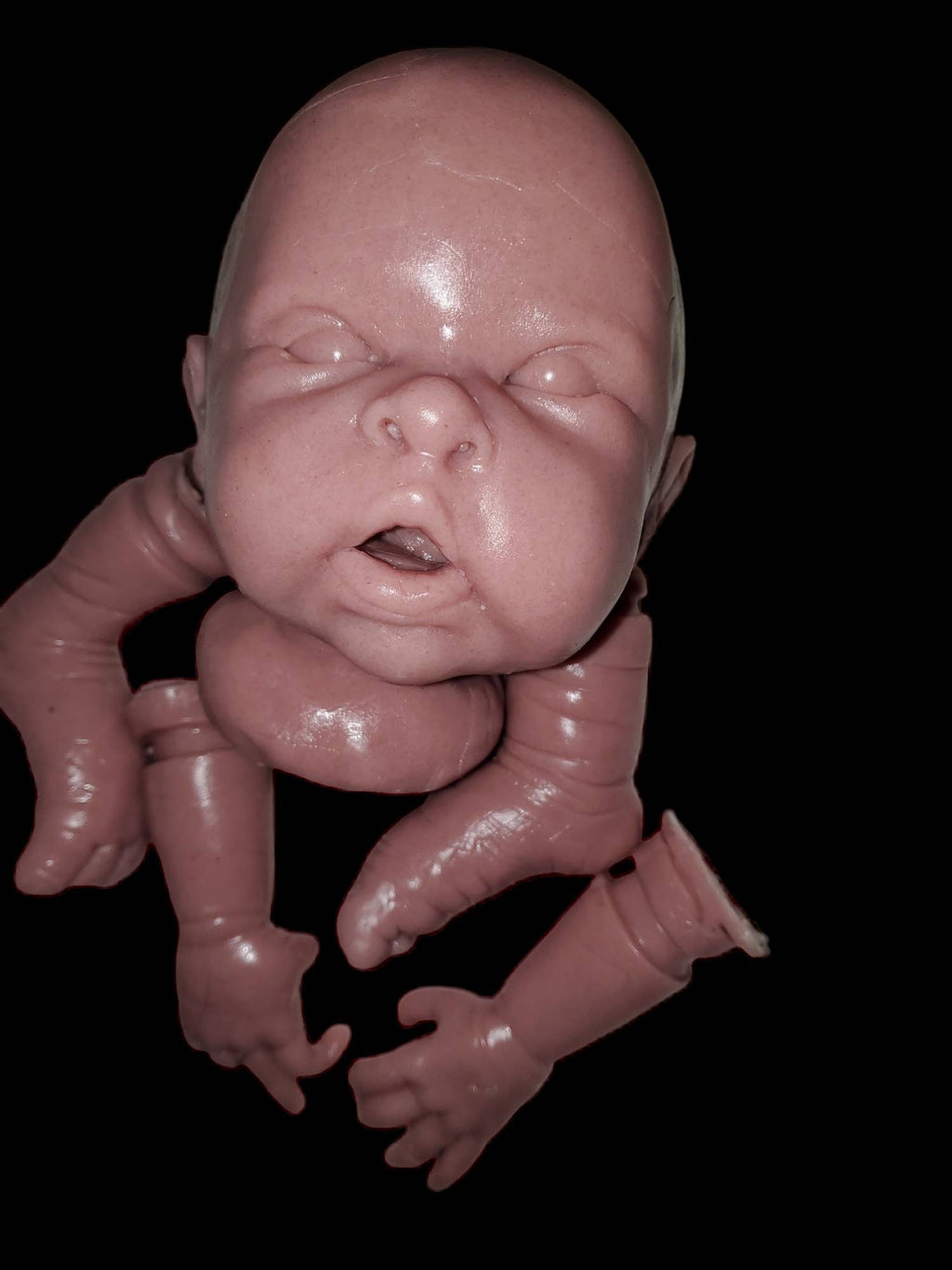 silicone art doll HEAD limbs or full body