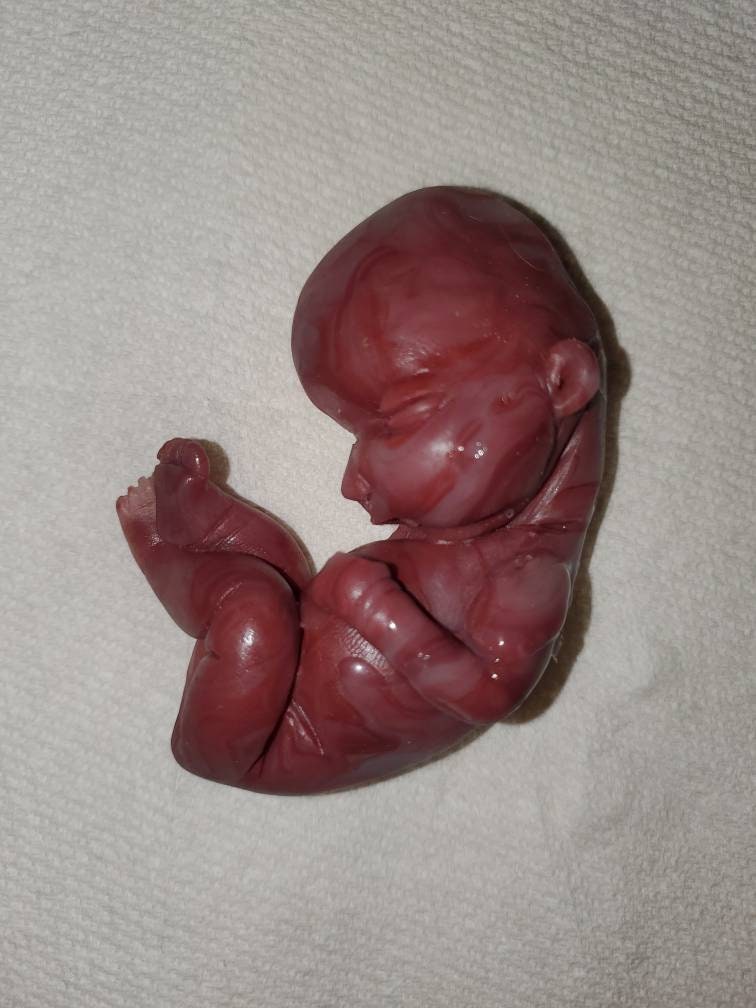 17 week gestational silicone baby fetus memorial baby