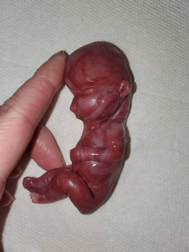 17 week gestational silicone baby fetus memorial baby