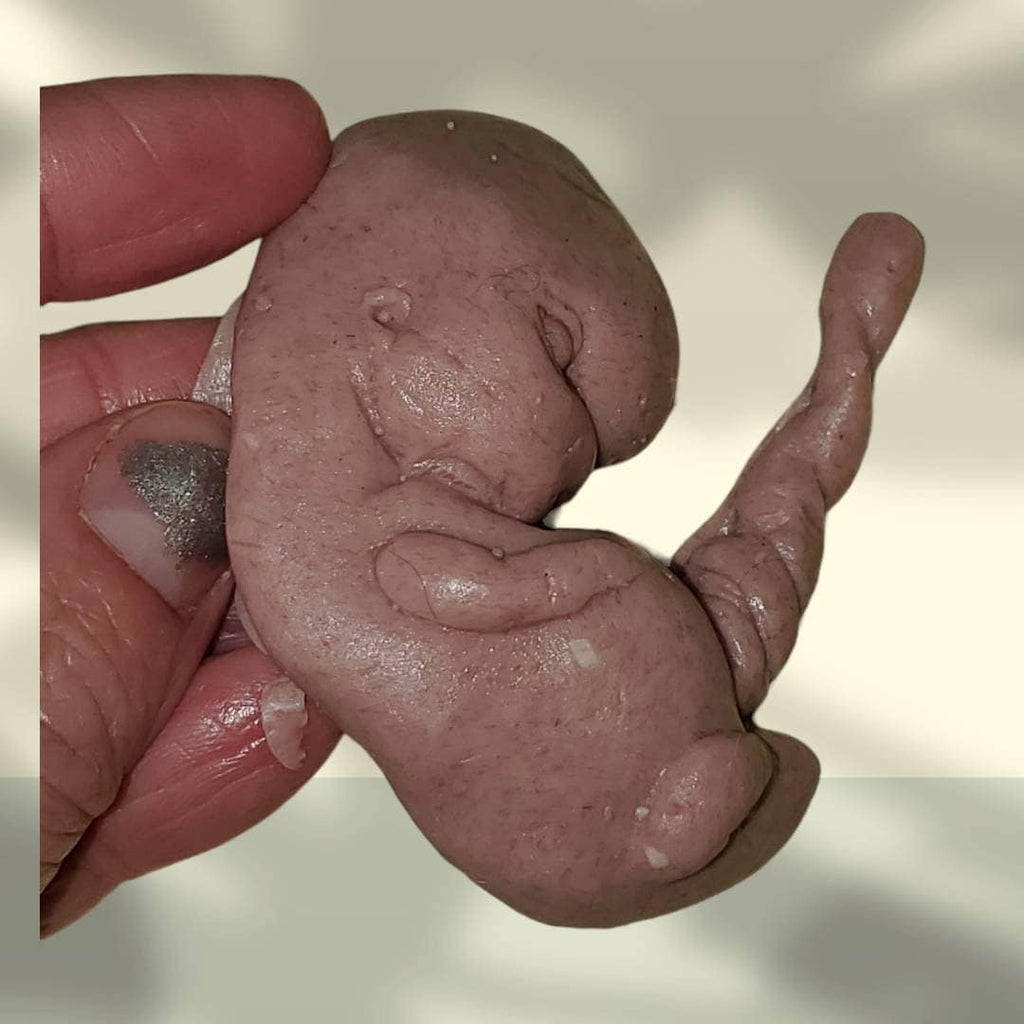 13 week sized gestation silicone fetus memorial baby with umbilical cord