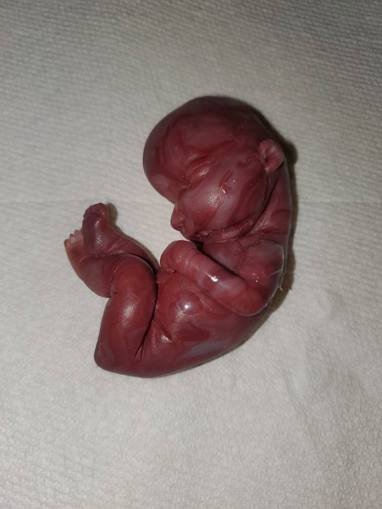 17 week gestational silicone baby fetus memorial baby