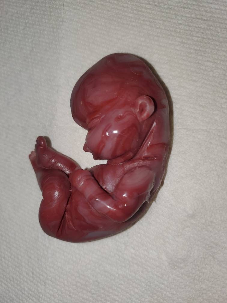 17 week gestational silicone baby fetus memorial baby