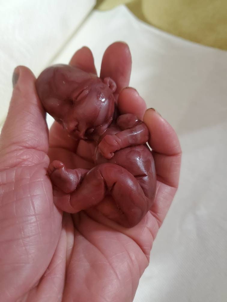 17 week gestational silicone baby fetus memorial baby