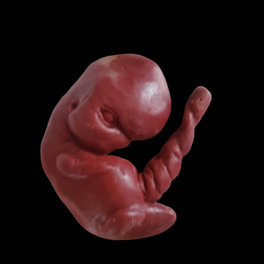 13 week sized gestation silicone fetus memorial baby with umbilical cord